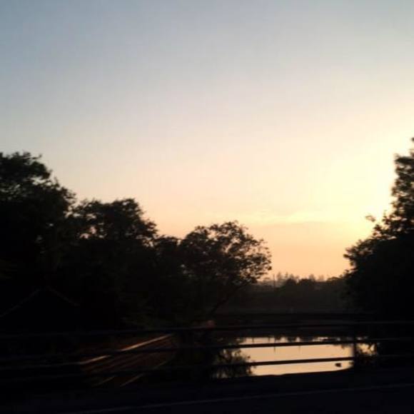 Meet your Posher, Tiffany - Picture 1 of 1